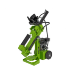 VIRLG12 F 1.png
