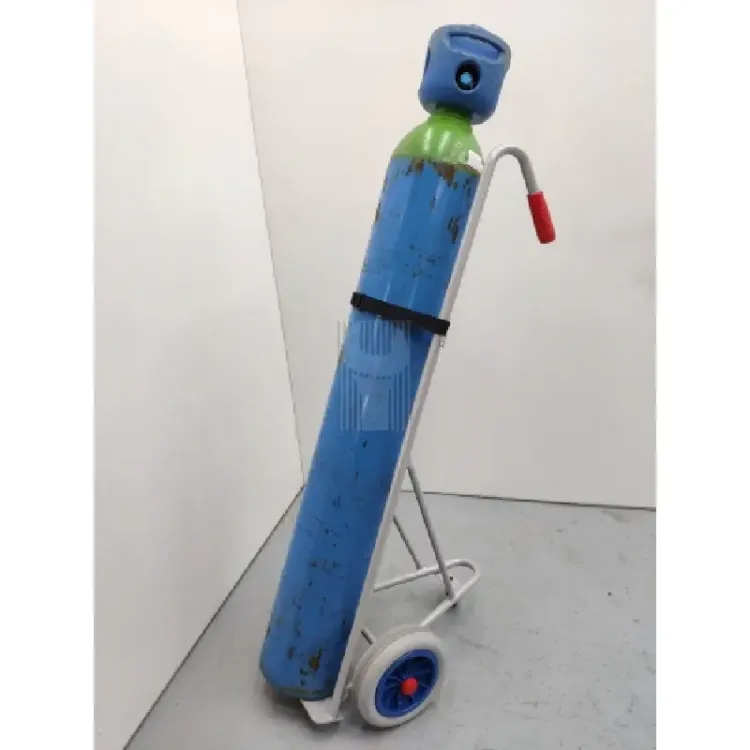 carrinho-para-transporte-garrafas-oxigenio-nd-scaled-1.webp