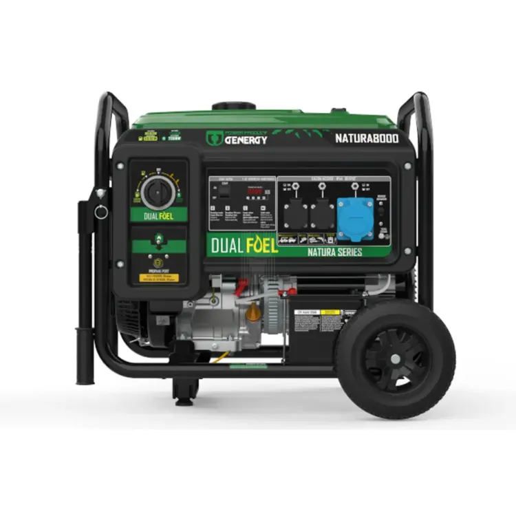 gerador-dual-8500w-natura-8000-genergy-chavevertical-com-4-scaled-1.webp