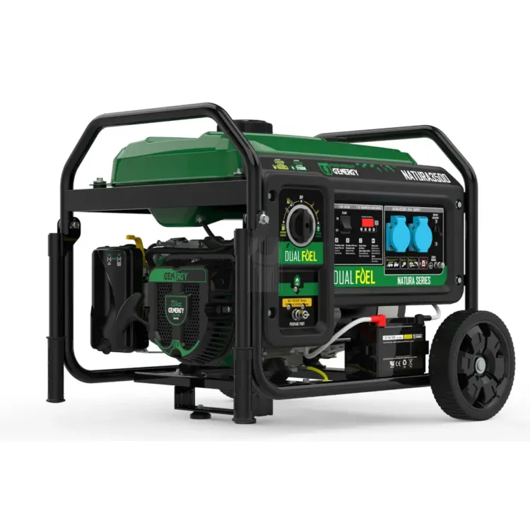 gerador-gasolina-propano-3300w-e-start-portatil-natura-genergy-chavevertical-com-7-scaled-1.webp